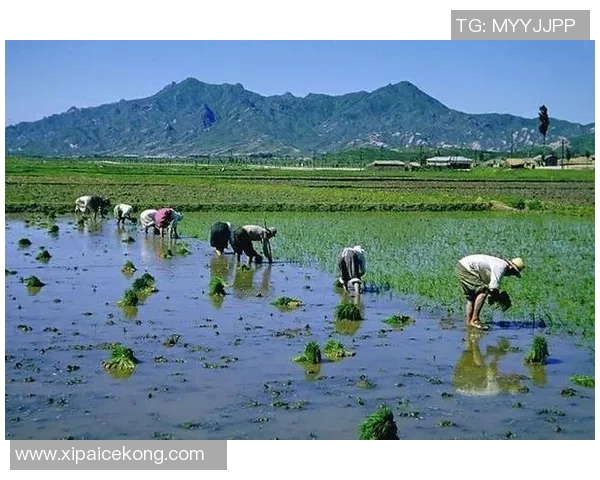 足球球星竟然亲自下田干农活 看他们如何与土地亲密接触